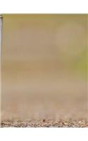Notebook Large 8.5 x 11 Ruled 150 Pages