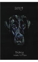 2019 Diary Week to View: Dog Lovers Diary Black Labrador Design