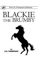 Blackie The Brumby