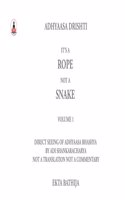 It's a Rope Not a Snake: Adhyaasa Drishti: Volume 1 - Direct Seeing of Adhyaasa Bhashya: Not a Translation, Not a Commentary