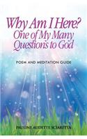 Why Am I Here? One of My Many Questions to God