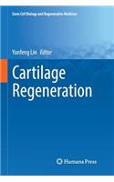 Cartilage Regeneration