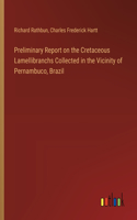 Preliminary Report on the Cretaceous Lamellibranchs Collected in the Vicinity of Pernambuco, Brazil