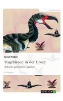 Vogelriesen in der Urzeit