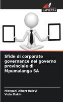 Sfide di corporate governance nel governo provinciale di Mpumalanga SA