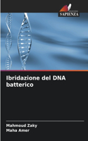Ibridazione del DNA batterico