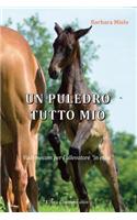 Un puledro tutto mio