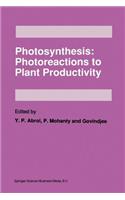 Photosynthesis: Photoreactions to Plant Productivity