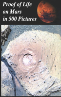 Proof of Life on Mars in 500 Pictures