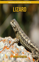 Lizard: Amazing Pictures and Facts