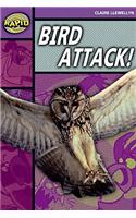 Rapid Stage 1 Level B: Bird Attack! Reader Pack of  3 (Series 2)