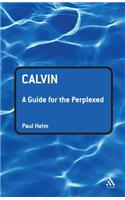 Calvin: A Guide for the Perplexed