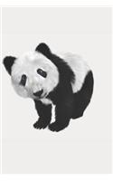 Panda Notebook