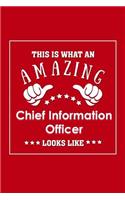 This is What an Amazing Chief Information Officer Look Like
