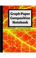 Graph Paper Composition Notebook: Grid Paper Notebook, Quad Ruled, 100 Sheets (Large, 8.5 x 11)(11 Graph Paper Notebooks)