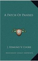 A Patch of Pansies