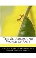 The Underground World of Ants