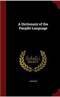 A Dictionary of the Panjábí Language