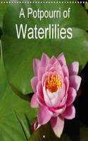 A Potpourri of Waterlilies 2017: A Colourful Variety of Waterlilies(Calvendo Nature)