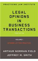 Legal Opinions in Business Transactions