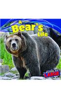 A Bear's Life