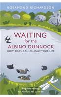 Waiting for the Albino Dunnock