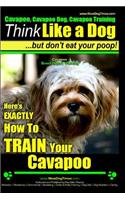 Cavapoo, Cavapoo Dog, Cavapoo Training - Think Like a Dog But Don't Eat Your Poop! - Cavapoo Breed Expert Training -