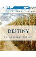 Destiny: Past-Present-Future(English)