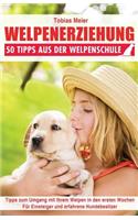 Welpenerziehung: 50 Tipps aus der Welpenschule(German)