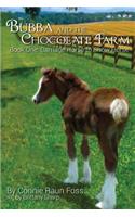 Bubba and the Chocolate Farm