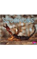 Scorpions