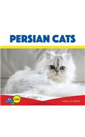 Persian Cats