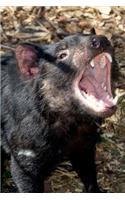 Tasmanian Devil Yawning Journal: 150 page lined notebook/diary