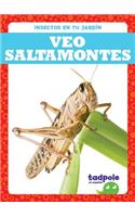 Veo Saltamontes (I See Grasshoppers)