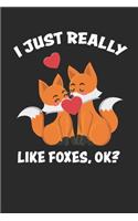 I just Really Like Foxes, Ok?: Funny and Cute Fox Composition Book, Journal, Notebook for Foxes lovers. Wide Ruled Blank Lined. Diary, Notepad. 6"x9" 120 pages (60 sheets). Gift f