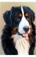 Bernese Mountain Dog: 150 page lined 6 x 9 notebook/diary/journal