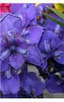2019 Weekly Planner Flowers Pretty Purple Iris 134 Pages