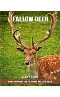 Fun Learning Facts about Fallow Deer