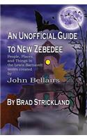 An Unofficial Guide to New Zebedee