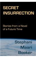 Secret Insurrection