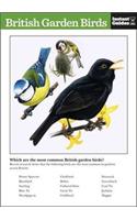 British Garden Birds