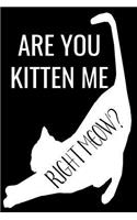 Are You Kitten Me Right Meow?