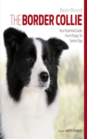 Border Collie Best of Breed
