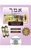 Bar/Bat Mitzvah Survival Guides