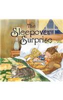 The Sleepover Surprise