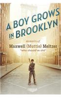 A Boy Grows in Brooklyn