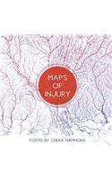 Maps of Injury
