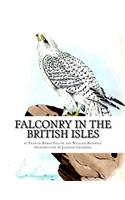 Falconry in the British Isles