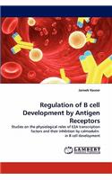Regulation of B Cell Development by Antigen Receptors