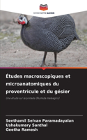 Études macroscopiques et microanatomiques du proventricule et du gésier